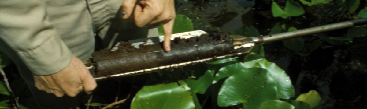 Core of peat from a modern peat mire.